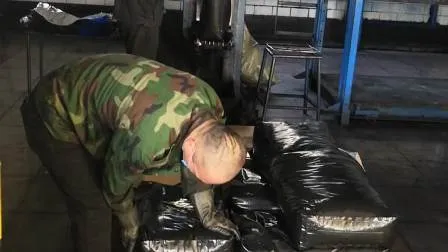 Carbon Black of Ink & Paint 